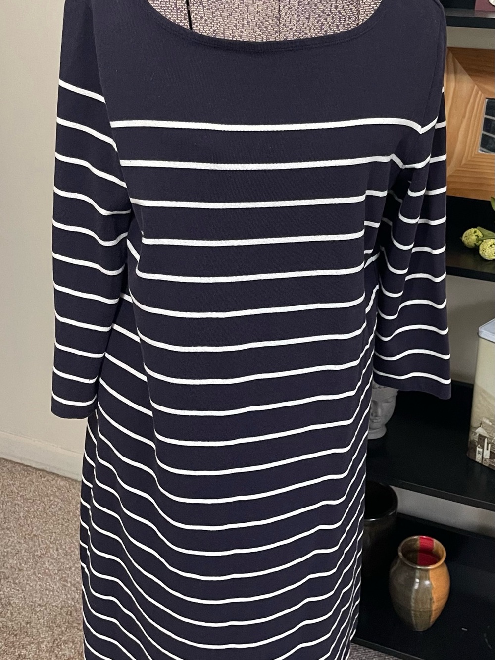 Lands' End Navy and White Striped Long-Sleeve Shift Dress